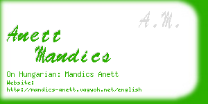 anett mandics business card